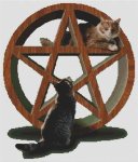 Cat Magick II (image for) Cat Magick II